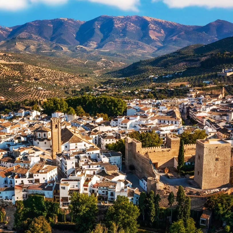 Carretera entre olivares en el entorno de Priego de Córdoba
