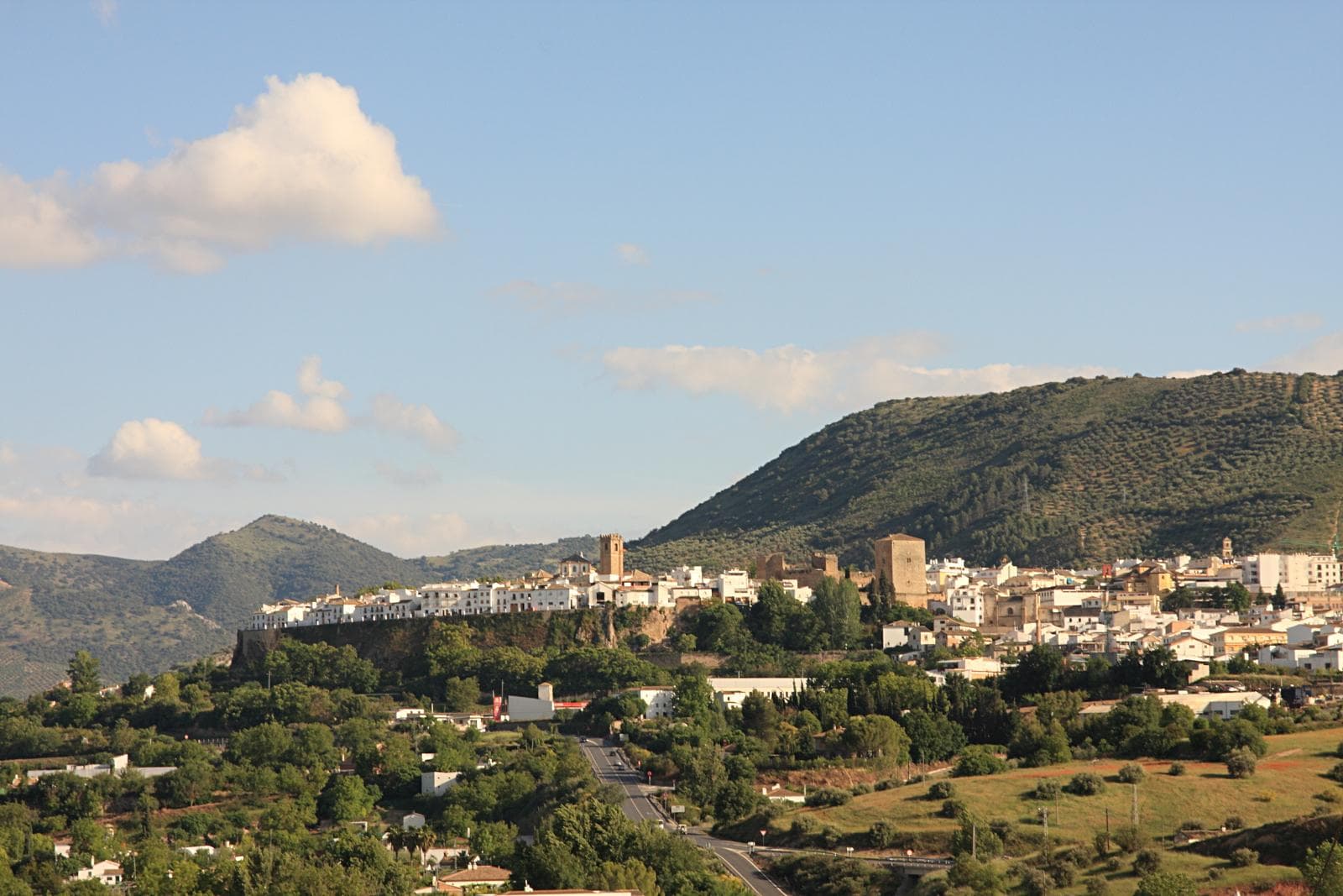 Olivares en Priego de Córdoba